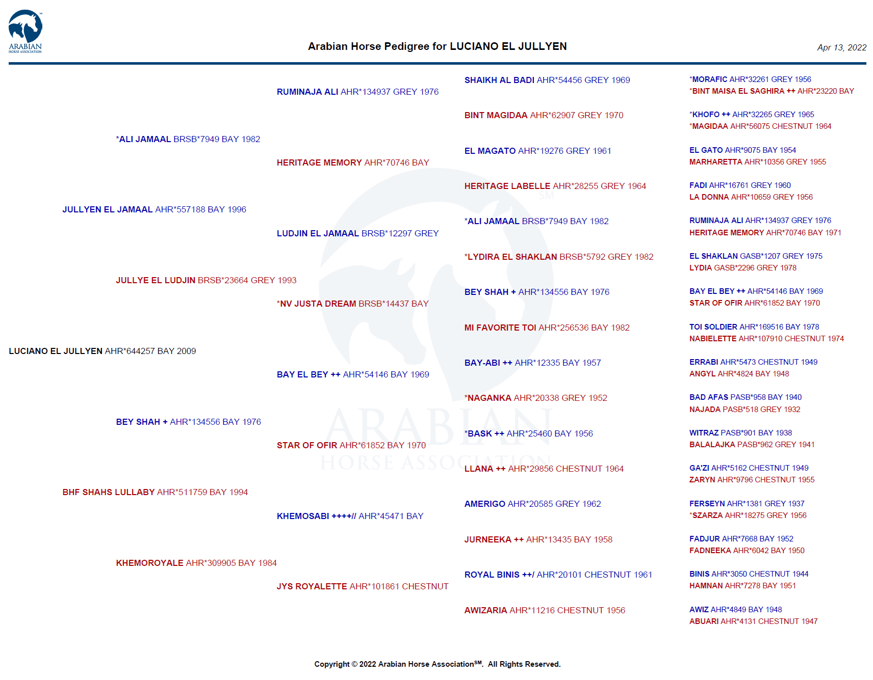 minya db pedigree